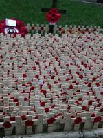 Image for Remembrance Sunday - UK Autism Foundation Pays Tribute to our Heroes